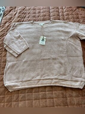 easel Relaxed Crewneck Sweater in Blush
